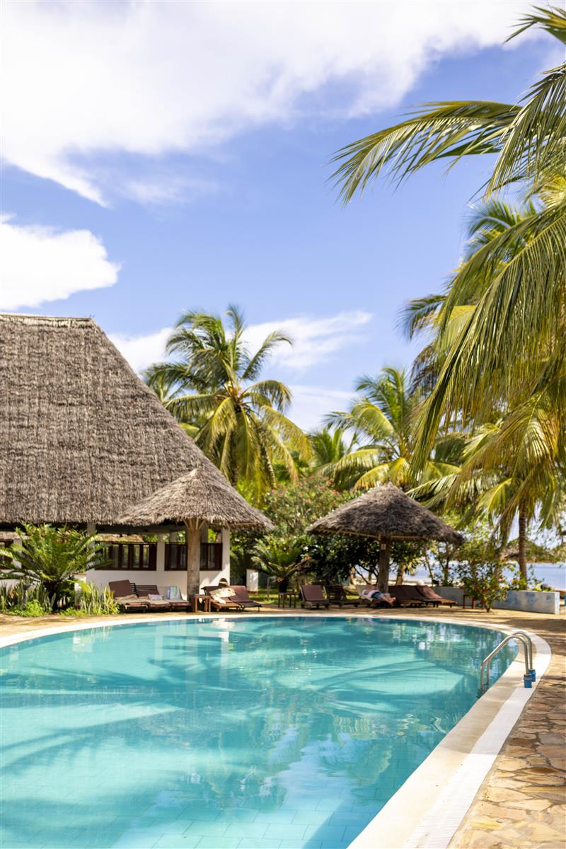 JAZ Adonia 